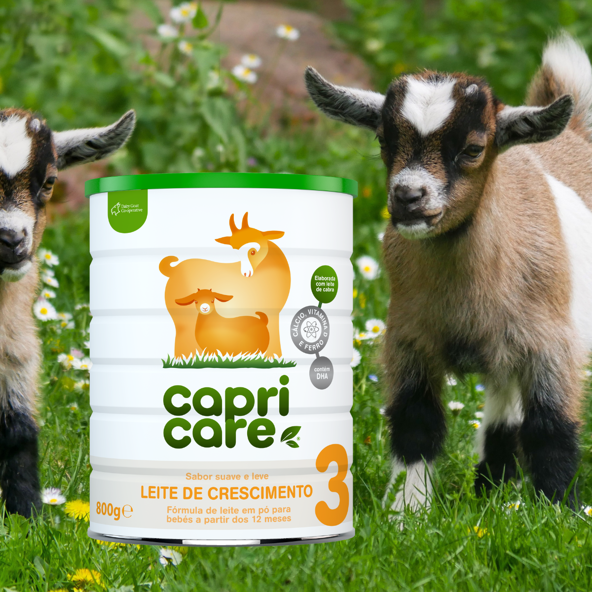 Leite de Cabra nível 3, Leite de Crescimento para bebés + 12 meses, 800g, CAPRICARE